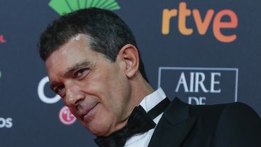 Antonio Banderas en la alfombra roja de la pasada edici&oacute;n de los premios Goya. El actor espa&ntilde;ol ha dado positivo al COVID-19.