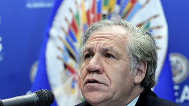 El secretario general de la Organización de Estados Americanos (OEA), Luis&nbsp;Almagro.