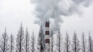 Imagen de una industria en Shanghai. China es el país que más contamina el medio ambiente.