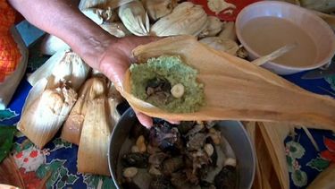 A causa de la producción de tamales de iguana, en la región del Istmo de Tehuantepec, donde se ubica Juchitán, ya no quedan iguanas para comercializar a gran escala