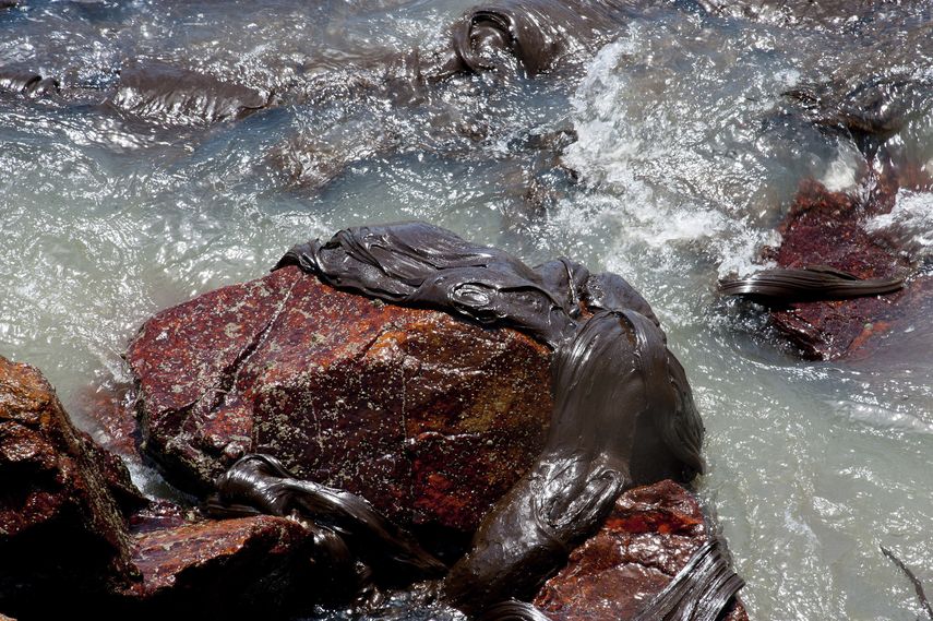 En esta fotograf&iacute;a del 25 de septiembre de 2019 proporcionada por el gobierno del estado de Sergipe, una capa espesa de crudo cubre una roca en la playa de Coroa do Meio, Brasil.&nbsp;