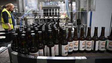 Botellas de cerveza llenas de cerveza Naked, sin alcohol, en la cervecería BRLO en el distrito berlinés de Spandau, Alemania, el 21 de agosto de 2023.