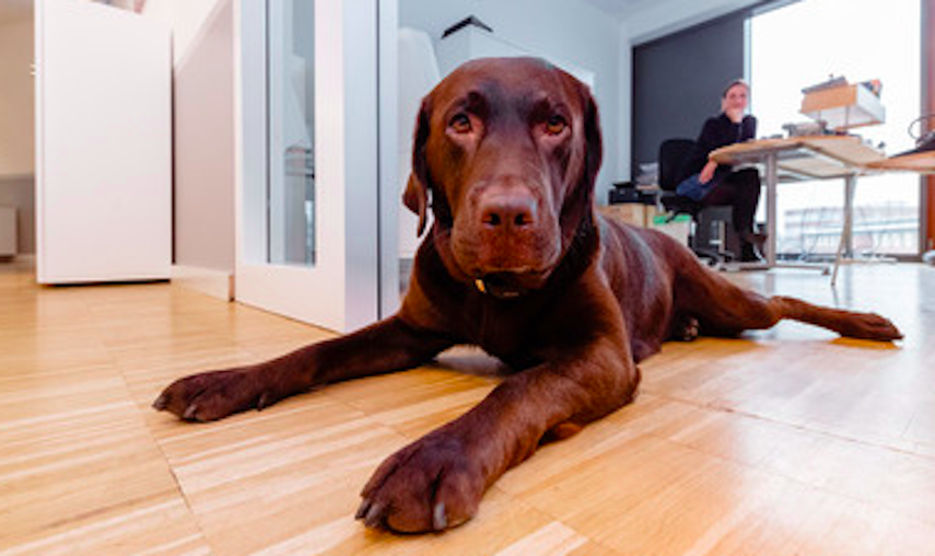 Screen Shot 2016-11-18 at 7.44.35 PM.png