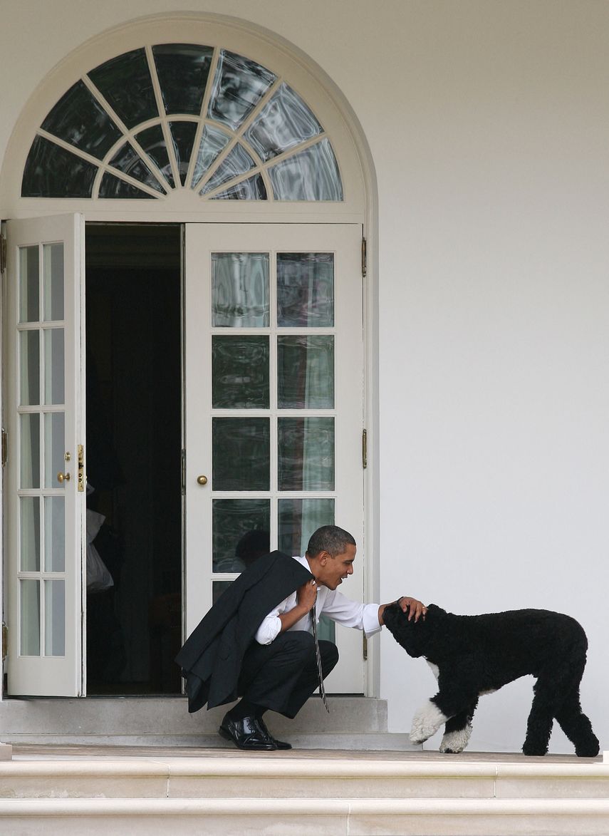 Barack Obama acaricia a su perro Bo fuera de la Oficina Oval de la Casa Blanca el 15 de marzo de 2012 en Washington, DC.