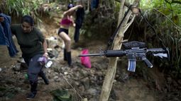 En las últimas semanas los cerca de 7.000 guerrilleros de las FARC han abandonado sus enclaves y se concentran en determinadas zonas del país.