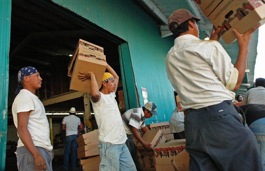 El sector agricola emplea una cantidad importante de mano de obra inmigrante, mucha de ella indocumentada, procedente de México o de países de Centroamérica.&nbsp;