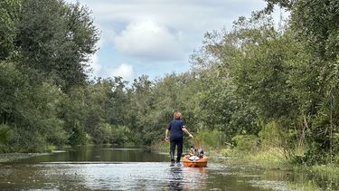 Diario las Américas | huracan-milton-canoa-sarasota