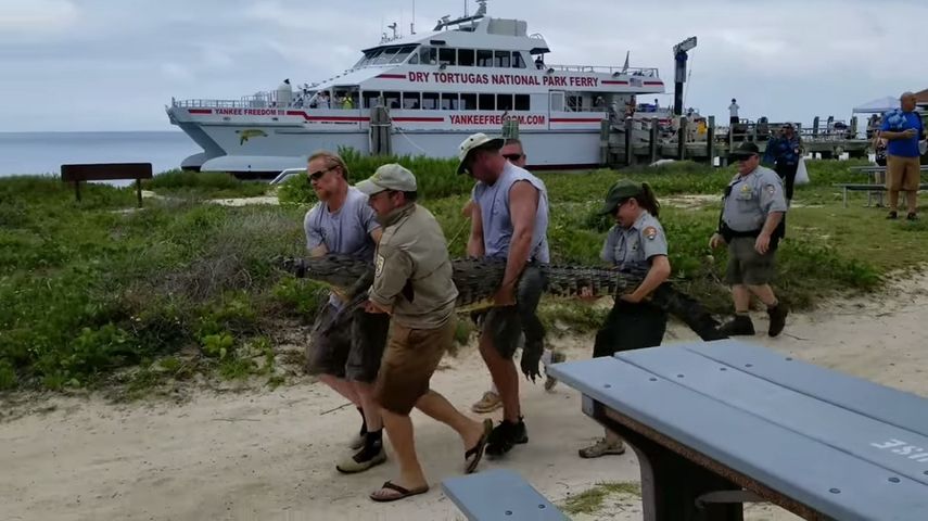La operación del traslado de Cleatus&nbsp;se inició el domingo y culminó este lunes en West Lake, en el sur de&nbsp;Florida.