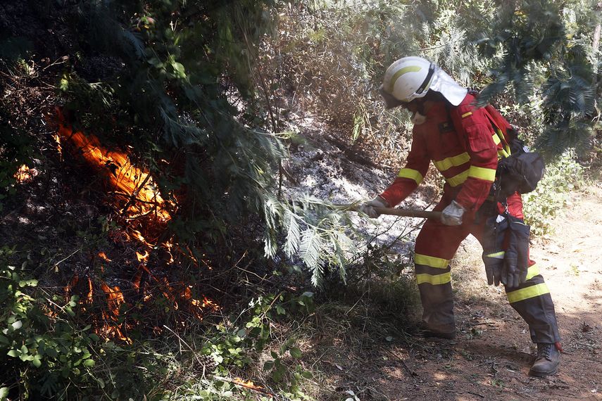 De las siete regiones que han sido atacadas por el fuego, la del Maule es la que encabeza la extensión de los incendios, con 284.000 hectáreas afectadas.