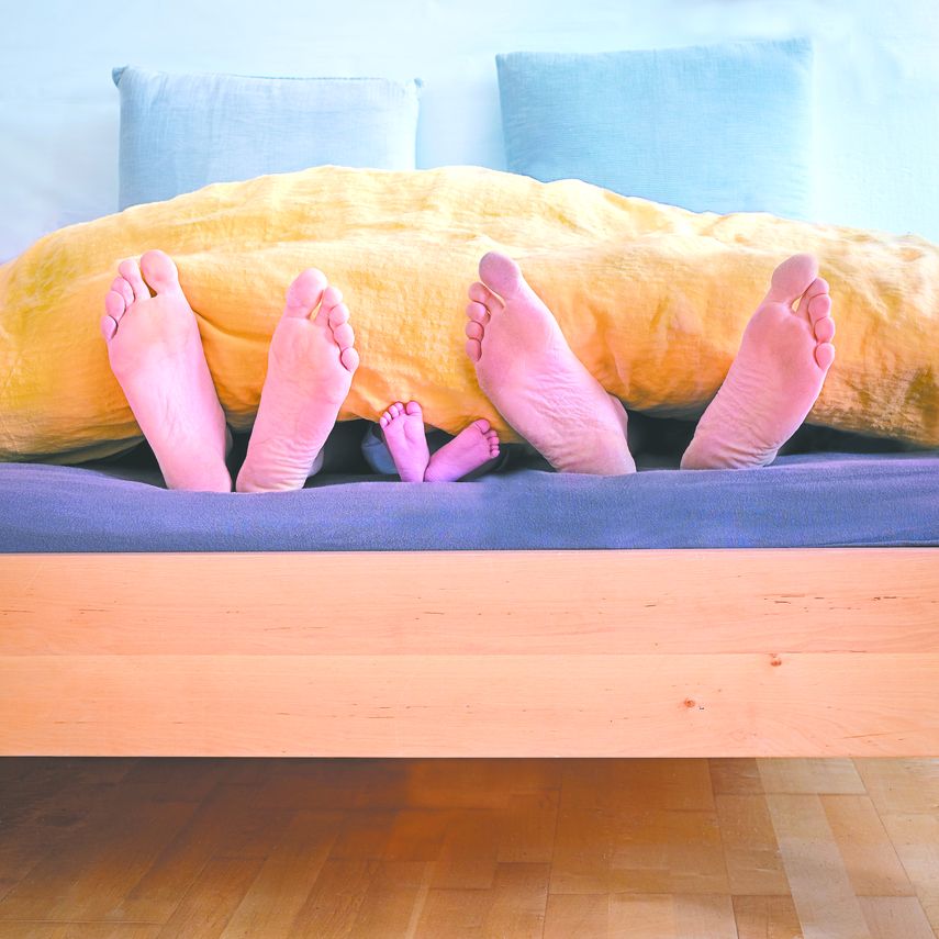 Un importante estudio se&ntilde;ala el principio mec&aacute;nico.&nbsp;