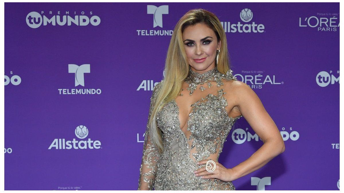 Abogado Aracely Arambula No Aparece En Serie De Luis Miguel