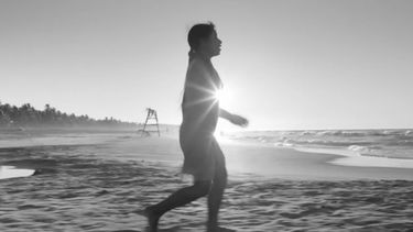 Roma de Alfonso Cuarón ha recibido reconocimiento.