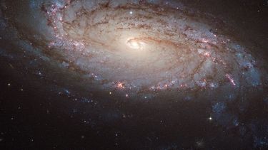 Se encuentra en el área central del Cúmulo de Perseo, la mayor concentración de galaxias próxima a la Vía Láctea y su cercanía.