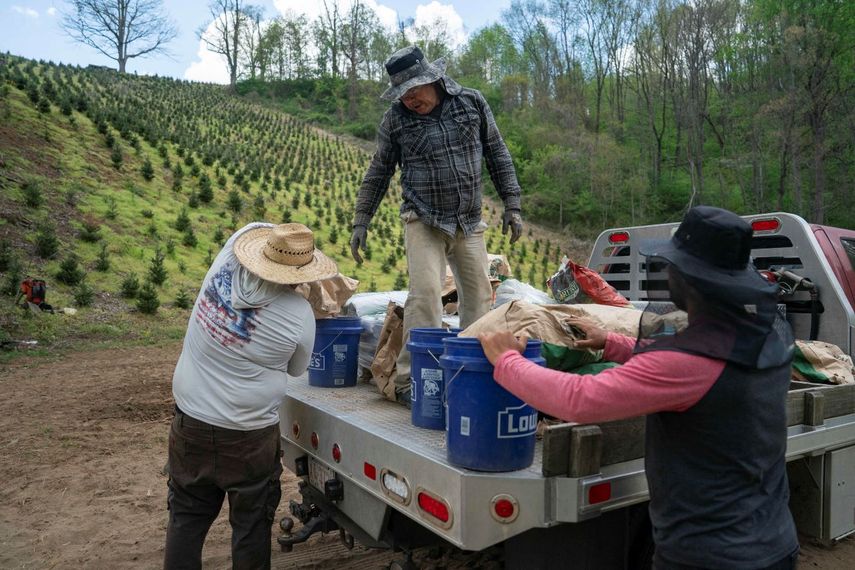 Trabajadores agrícolas en Estados Unidos en plena faena de siembra.