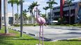 Ayuntamiento de la ciudad de Hialeah, en Palm Avenue y la 5 Avenida.&nbsp;