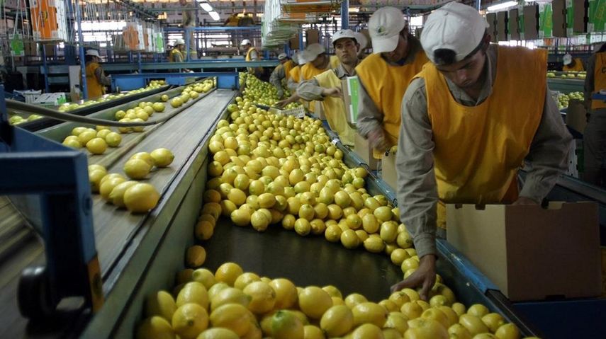 El de los limones era uno de los&nbsp;principales reclamos comerciales de&nbsp;Argentina al Gobierno de EEUU.