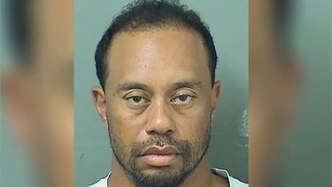 Fotografía del arresto de Woods cedida por la Policia condal de Palm Beach.