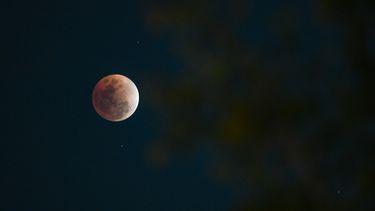 Esta fotografía muestra una vista de la luna llena, también conocida como Luna de Sangre, con hojas en primer plano durante una fase de un eclipse lunar total en Manila el 3 de marzo de 2026.&nbsp;