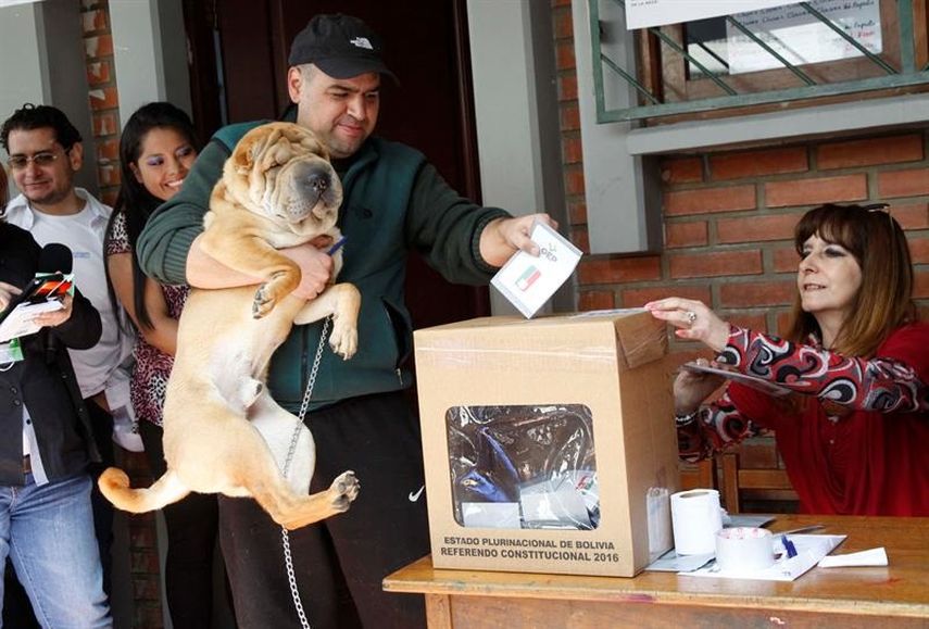 Más de 6,5 millones de bolivianos están llamados a votar, de los que 6.2 millones viven en el país y 258.990 en el exterior (EFE)