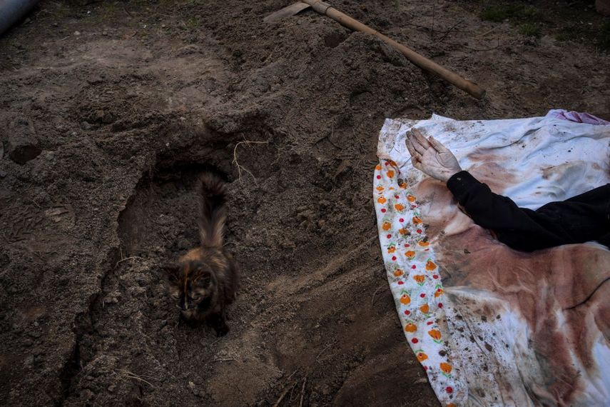 Un gato sentado sobre la tumba de Lyudmyla Kononuchenko, de 51 años, que fue enterrada por sus familiares y amigos el viernes 15 de abril de 2022, en Irpin, Ucrania, luego de que fue alcanzada por un misil durante la guerra con Rusia.