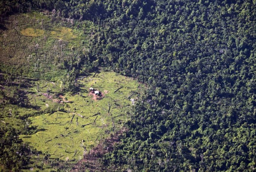La imagen aérea en Murubila, Nicaragua, muestra la tala de árboles y el avance de la frontera agrícola que realizan colonos en tierras indígenas.