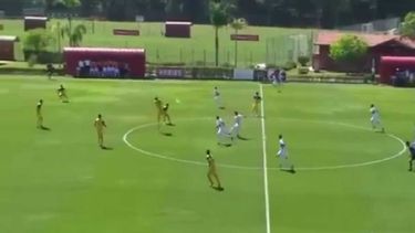 Sucedió durante un encuentro sub 17 entre el Sao Pablo y el Sao Carlos de Brasil