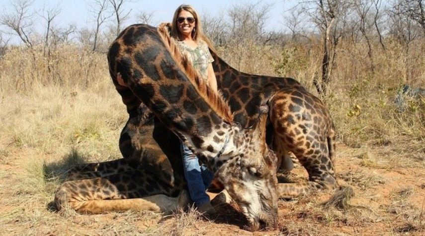 La cazadora publicó con orgullo imágenes que la muestran junto al animal muerto y causó una ola de ira en los medios sociales.
