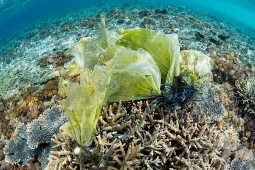 La contaminación plástica en el mar no se detiene. 