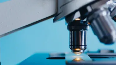 El Oropouche representa un desafío creciente para la salud pública en regiones tropicales.