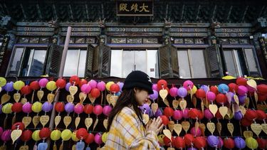 Un budista surcoreano reza en el templo Bongeunsa mientras los estudiantes realizan el examen anual de ingreso a la universidad, conocido localmente como Suneung, en Seúl, el 13 de noviembre de 2025. Los vuelos se suspenden temporalmente, la bolsa abrirá una hora más tarde y los padres preparan altares para las oraciones: sin duda, es el día del examen de ingreso a la universidad para los estudiantes surcoreanos. Este examen, conocido localmente como Suneung, es esencial para ingresar a las mejores universidades y se considera una puerta de entrada a la movilidad social, la seguridad económica e incluso un buen matrimonio.