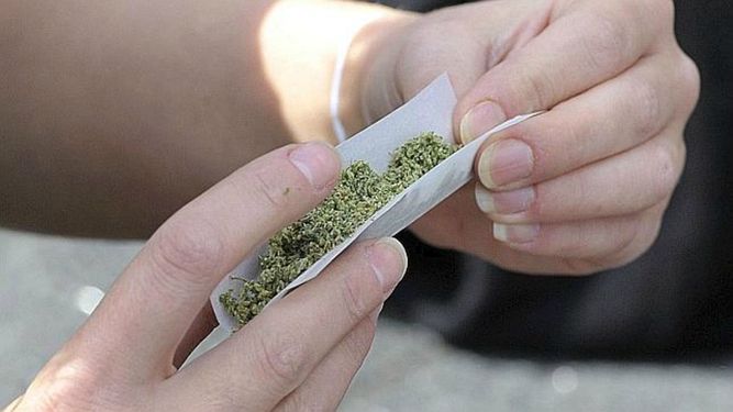 Los estudiantes destacaron que continúa creciendo el número de hectáreas cultivadas con marihuana, amapola y hoja de coca en el país, así como el de consumidores.