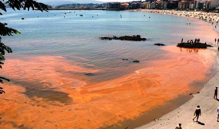 Es considerada como la mayor tragedia ecológica de Chile (CORTESÍA.diarioelnortino.com)