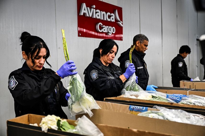 Agentes federales del Departamento de Agricultura de Estados Unidos, inspeccionan un cargamento de flores.