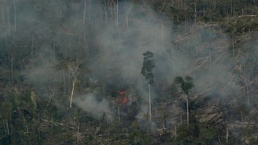 El fuego consume una zona cercana a Jaci Paraná, en el estado de Rondônia, Brasil.&nbsp;