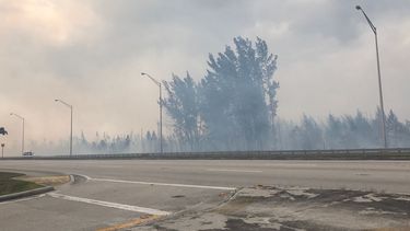 Las llamas y el denso humo eran visibles desde la autopista como se muestra en las imágenes.