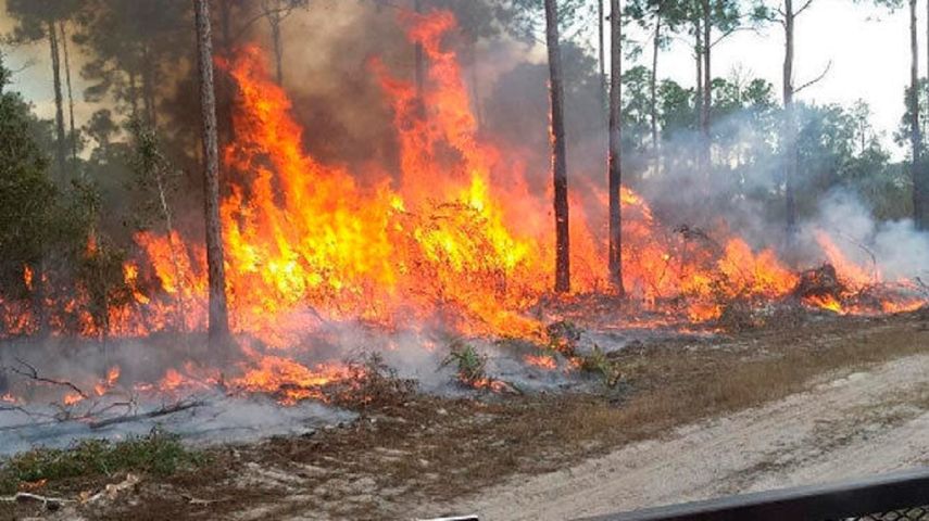 Las autoridades prevén que podría incrementarse el riesgo de incendios forestales en los próximos meses.