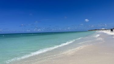 Diario las Américas | bimini bahamas