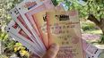 Mega Millions fue creado en 2002 y combina la red de loterías en 44 estados, incluyendo la Florida, además de Washington DC y las Islas Vírgenes.