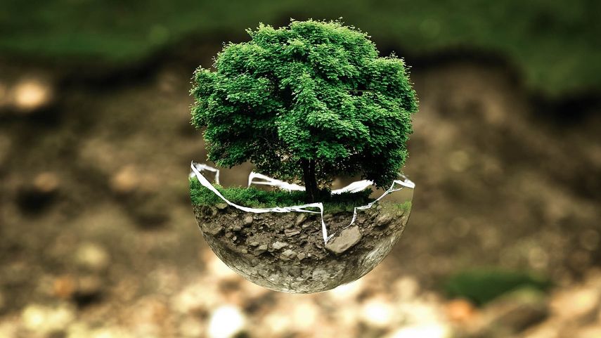 Un estudio evaluó a las 100 ciudades más grandes del país para determinar cuáles promueven una vida verde