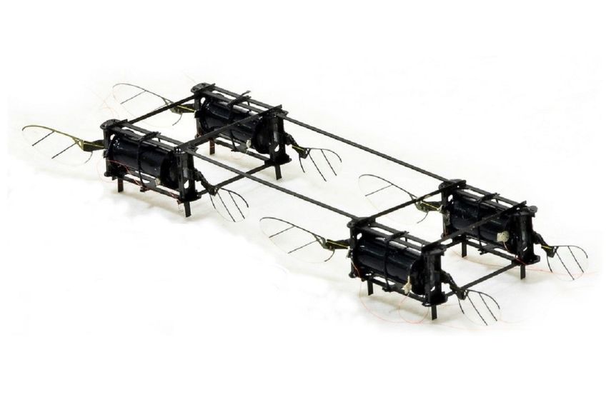 Drones inspirados en mosquitos logran destreza en vuelo&nbsp;