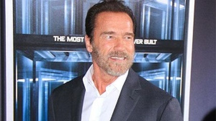 El actor estadounidense Arnold Schwarzenegger. (EFE)
