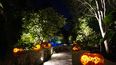 La hora inquietante es la nueva experiencia para festejar Halloween en el Jardín Botánico Fairchild.