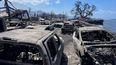 Aautos calcinados después del paso de un incendio, el miércoles 9 de agosto de 2023, en Lahaina, Hawai.&nbsp;
