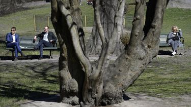 Unas personas se asolean en el parque Humlegarden, en Estocolmo, Suecia, el 22 de abril de 2020.&nbsp;