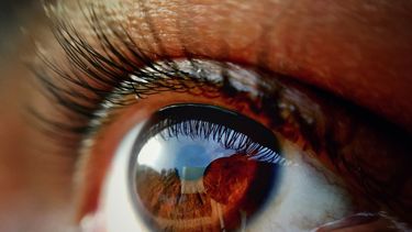 Imagen referencial.&nbsp;