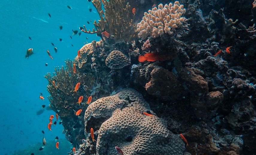 Imagen referencial.&nbsp;