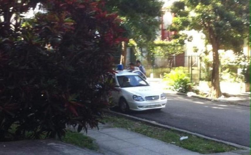 Algunos testigos afirmaron que la artista cubana Tania Bruguera, y los activistas Antonio Rodiles y Ailer González se encuentran entre los arrestados 