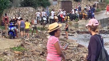 Activistas y grupos independientes se dan cita para limpiar la costa de Cojímar, en La Habana. 