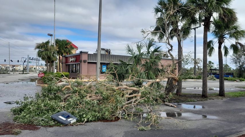 En la zona de Port Charlotte se vieron numerosos árboles caídos.&nbsp;