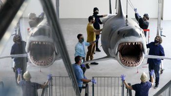 Una réplica en fibra de vidrio de Bruce, el tiburón del clásico de Steven Spielberg de 1975 Jaws (Tiburón), es montada en el nuevo Museo de la Academia de Cine en Los Ángeles el viernes 20 de noviembre del 2020. 